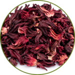 Hibiscus